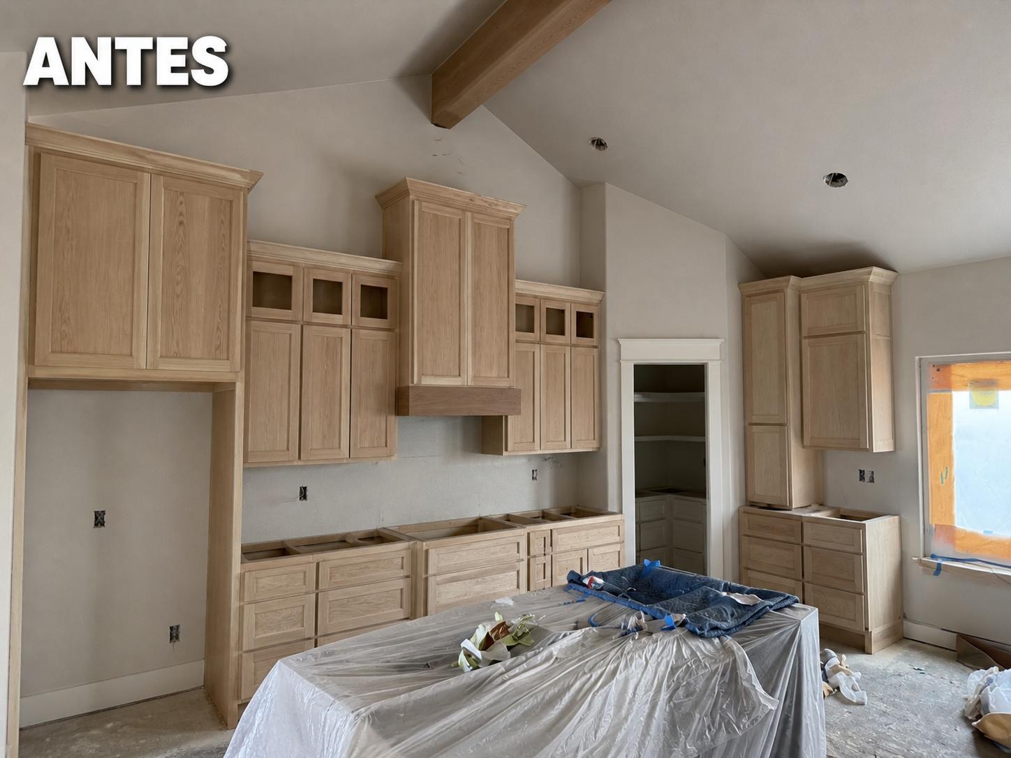 Kitchen Cabinet Transformation — before